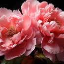 Resilience 이미지