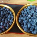 진일농장 이미지