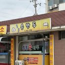통통손만두 이미지