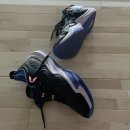 탑곤산업개발(주) | 2025년 아식스 농구화 노바서지 로우2(Feat. 노바서지3)