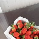 성희농장 이미지