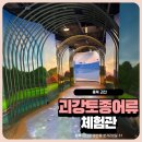 괴강 | 괴산 아이와 가볼만한곳 괴강토종어류체험관 무료 체험 후기