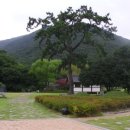 연수구 청학동 해안선 ~ 국민은행 앞 | KTX 남도답사 열차
