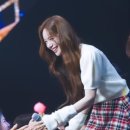 고려대학교 심리융합과학대학원 이미지