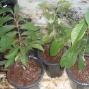 (주)유나팜 이미지