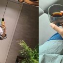 스타일링 이미지