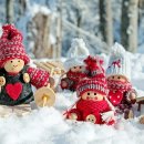 둥지치킨 이미지