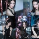 힛지스 카카오 검색결과