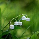 홍익대학교박물관 이미지