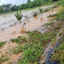 신평농장 이미지