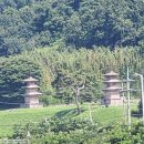 도시철도 거제역 7번출구 | [공지] 해파랑길 11코스 : 경주 구간(나아해변 ~ 감포항)