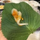 청춘연어 | 제철 맞은 도다리 국수회를 맛볼 수 있는 장곡동 횟집 [청춘오션 솔직 후기]