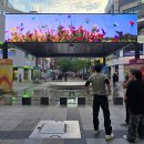 평촌일번가 문화의거리 이미지