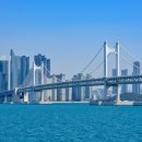 분도메디컬 이미지