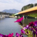 갈맷길 5코스 5-1구간 이미지