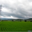 각화초교 이미지