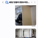 호야인테리어필름