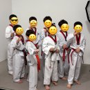 용인대하가태권도 네이버블로그