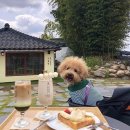 카페가배당 이미지