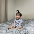 브레드제이 네이버블로그