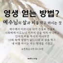 [하나님의교회] 생명이 있는 교회와 없는 교회 이미지