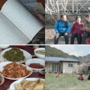 돼지세상 이미지