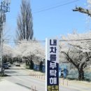 동해카센타 이미지