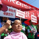 물왕영업소(제3경인고속도로) 이미지