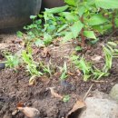 삼화상쾌한의원 이미지