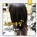 컷샵(CUT#) | 노원역 미용실 예움헤어 노원구청점 레이어드펌 후기 이서 디자이너 추천