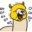모바이오두피크리닉 이미지