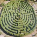 0237_he said, "You're not really going out into the Maze again, are you? 이미지