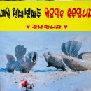 서포리 물량장 공중화장실 | 목포 해물탕(장어탕) 이모네탕집 현지인 추천 맛집, 주차장 위치 공유!