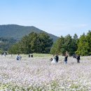 성읍리-28 이미지