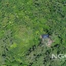 완도수목원 가로수길 이미지