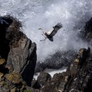 월드태양광 이미지