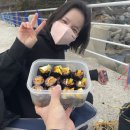 인구항화장실 이미지