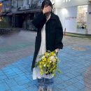 팡세아모아