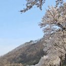 월악산매점 | 제천 캠핑장 중 계곡뷰가 정말 좋을까? 월악산 미시시피 캠핑장 가성비 후기