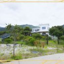 강아지 보호센터 이미지