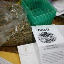 작은씨앗도서관 이미지