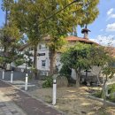 강변오리 이미지