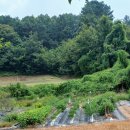 월산농장 이미지