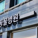 합천동물병원 이미지