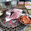 돼지영농후계자정촌점