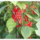 아름이농장 이미지