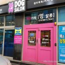 멍쌀롱 이미지