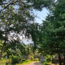 동횡성갑천농협 | 8월 강원도 2박 3일 여행, 고성 횡성 물놀이