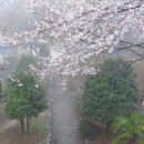 우룡산공원 이미지