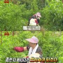 봄필라테스&옴's번지피지오 | [내돈내산]플라잉요가 9개월 후기,강희연 플라잉요가&필라테스 센터